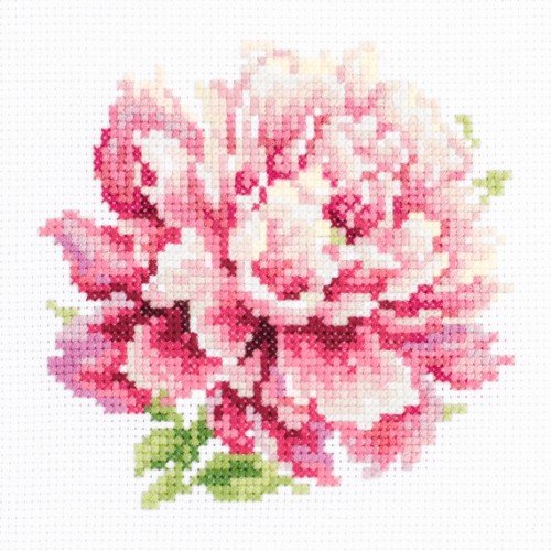 Magic Needle - Peonía