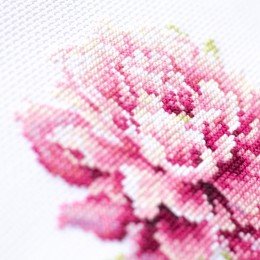 Magic Needle - Peony