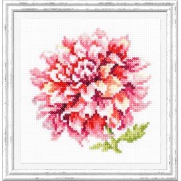 Magic Needle - Dahlia