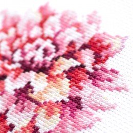 Magic Needle - Dahlia