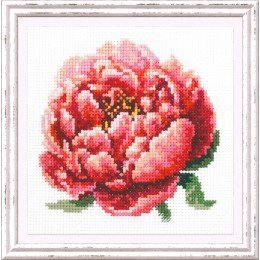 Magic Needle - Red Peony