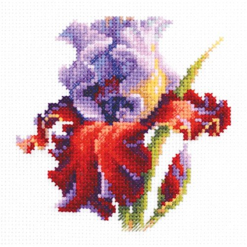 Magic Needle - Iris