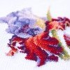 Magic Needle - Iris