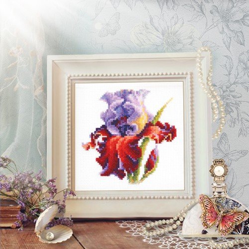 Magic Needle - Iris