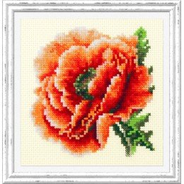 Magic Needle - Poppy