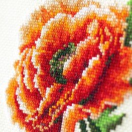 Magic Needle - Poppy