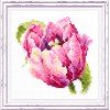 Magic Needle - Tulipán rosa
