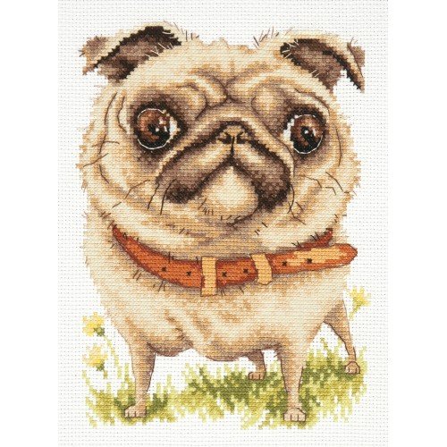 Magic Needle - Perro carlino