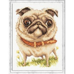 Magic Needle - Pug-dog