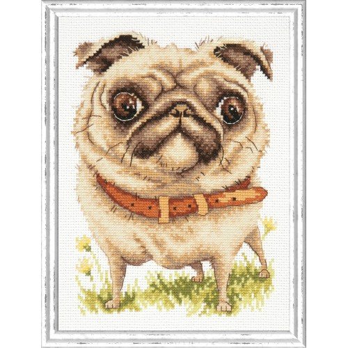 Magic Needle - Perro carlino