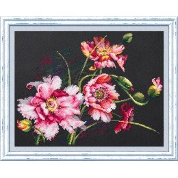 Magic Needle - El misterio de las amapolas