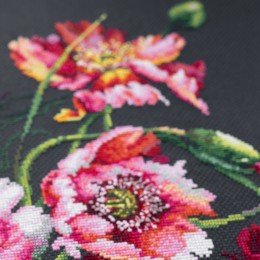 Magic Needle - El misterio de las amapolas