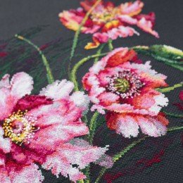 Magic Needle - El misterio de las amapolas