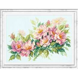 Magic Needle - Dog-Rose Flowers