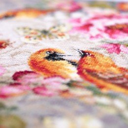 Magic Needle - Summer Symphony