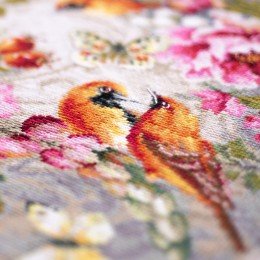 Magic Needle - Summer Symphony