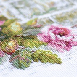 Magic Needle - Fountain of Desires