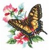 Magic Needle - Mariposa cola de golondrina