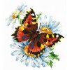 Magic Needle - Mariposa y margaritas