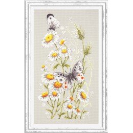 Magic Needle - Claro de verano