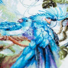 Magic Needle - Lost World