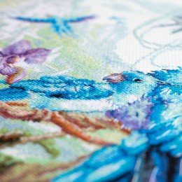 Magic Needle - Lost World