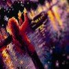 Magic Needle - Sky Lanterns
