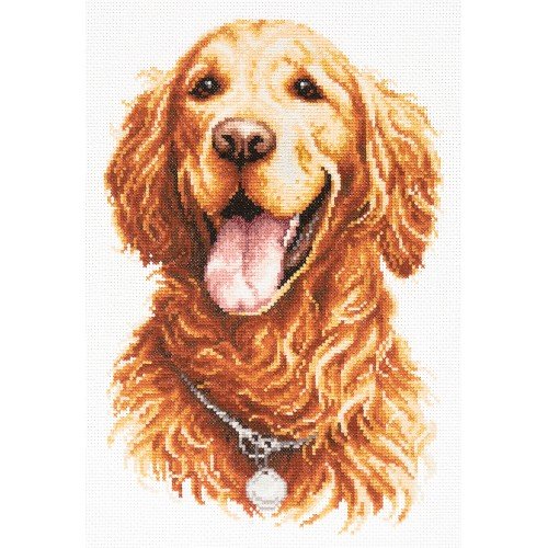Magic Needle - Golden Retriever