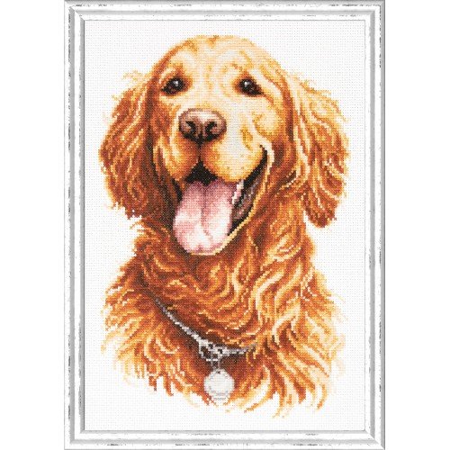 Magic Needle - Golden Retriever