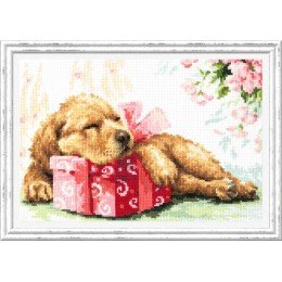 Magic Needle - Guarda tu don