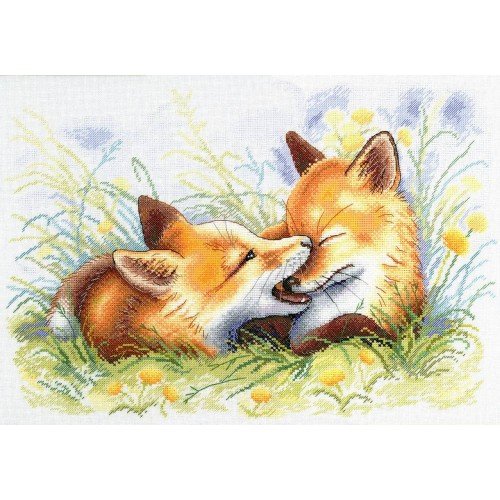 MP Studia - Mischievous fox