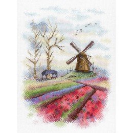 MP Studia - South holland