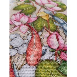 MP Studia - Underwater idyll