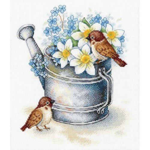 MP Studia - Daffodil lovers