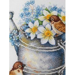 MP Studia - Daffodil lovers