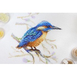 MP Studia - Feathered observer