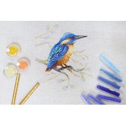 MP Studia - Feathered observer