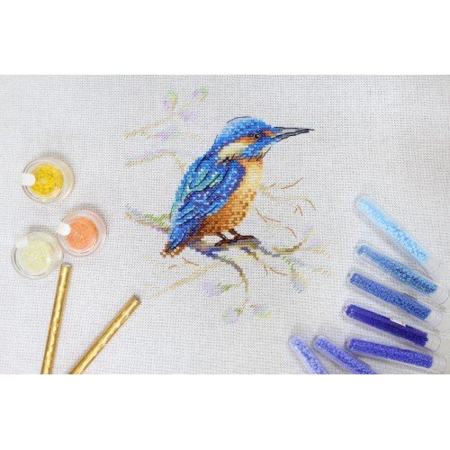 MP Studia - Feathered observer