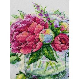 MP Studia - Tender aroma