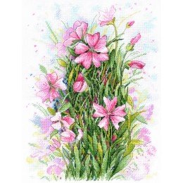 MP Studia - Flower symphony