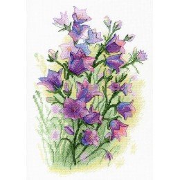 MP Studia - Freshness serenade