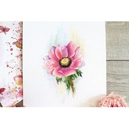 MP Studia - Pink anemone