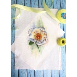 MP Studia - White peony