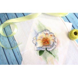 MP Studia - White peony