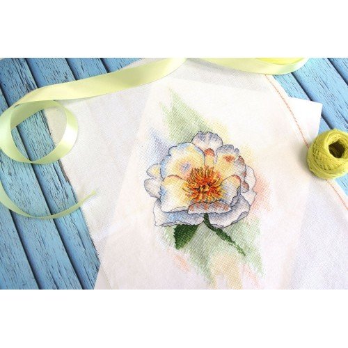 MP Studia - White peony