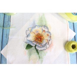 MP Studia - White peony