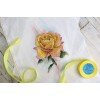 MP Studia - Yellow rose