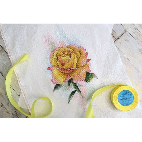 MP Studia - Yellow rose