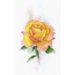 MP Studia - Yellow rose