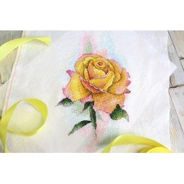 MP Studia - Yellow rose